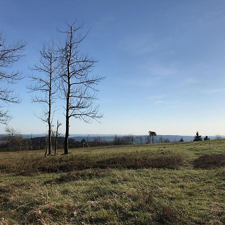 Astenturm Hotel (Adults Only) Winterberg Esterno foto