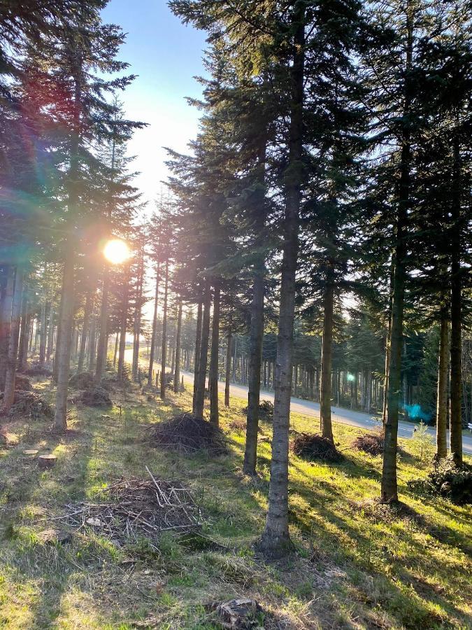 Astenturm Hotel (Adults Only) Winterberg Esterno foto