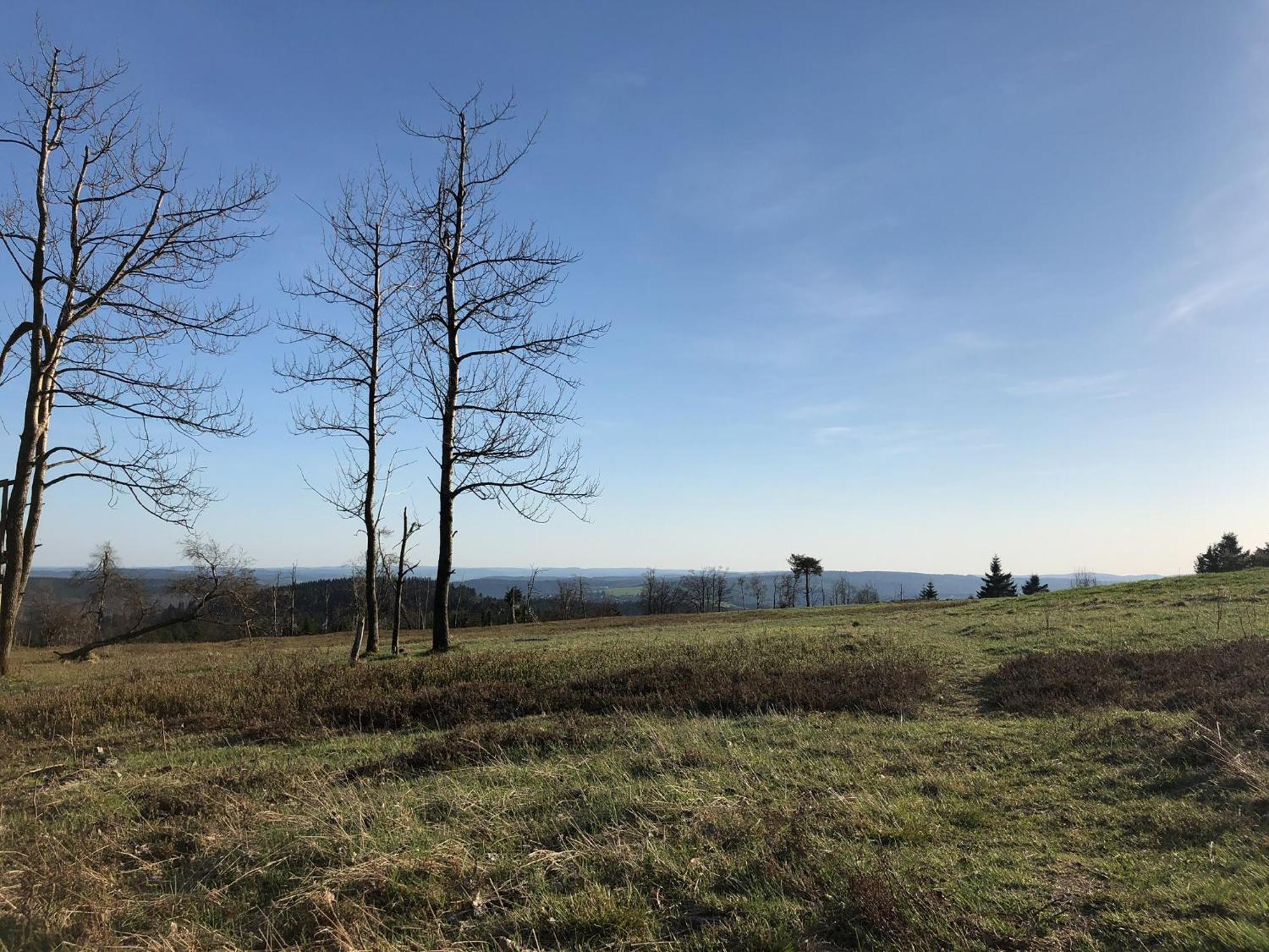 Astenturm Hotel (Adults Only) Winterberg Esterno foto