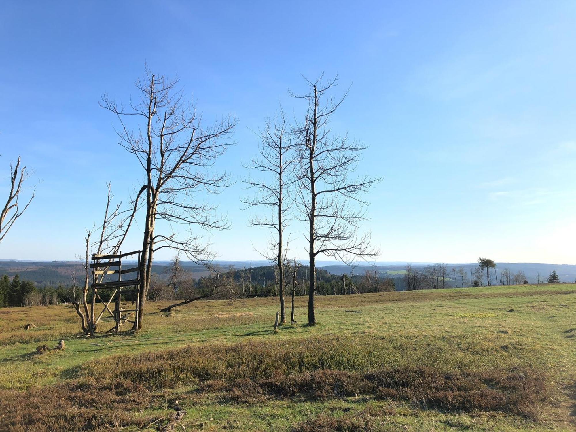 Astenturm Hotel (Adults Only) Winterberg Esterno foto